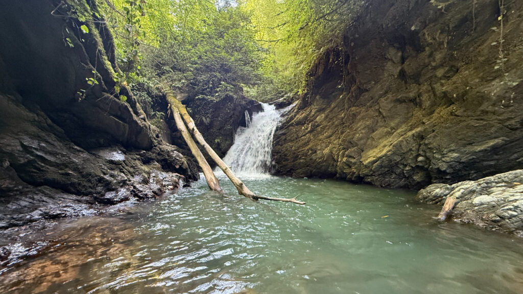 Kocaeli’nin gizli doğa rotası