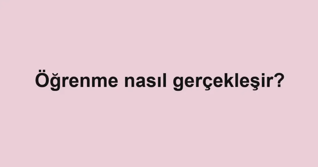 Öğrenme nasıl gerçekleşir?